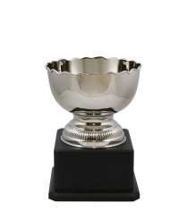 Richmond Nickel Cup 21.5cm