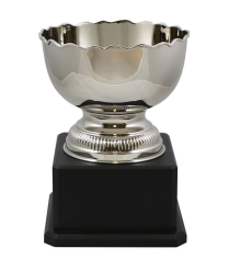 Richmond Nickel Cup 30cm