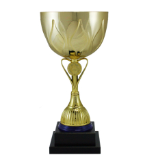 Euro Cup - Rome 33cm
