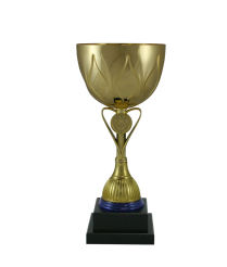 Euro Cup - Rome 31cm