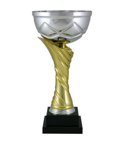Euro Cup - Milan