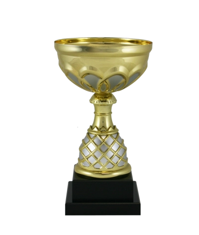 Euro Cup - Venice