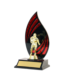 Flameback Trophy <Br>21.5cm