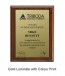 Plaque 17.5cm X 23cm