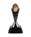 Resin World Class Rugby
