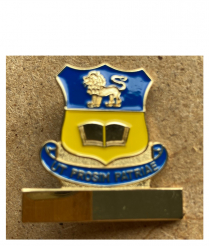 SPORTS BADGES